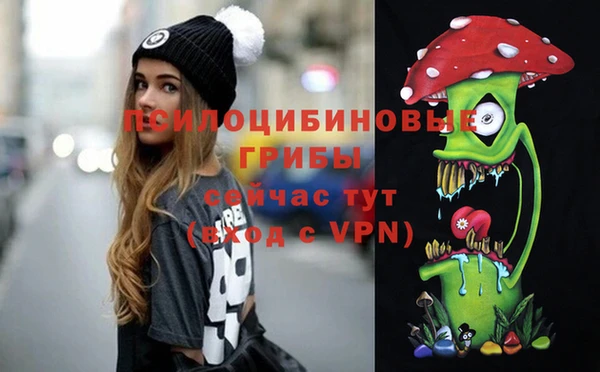 тгк Няндома