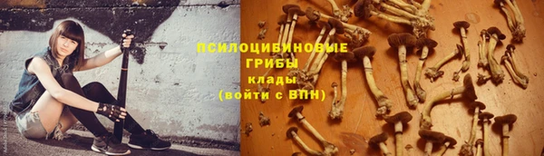 круглые Солнечногорск