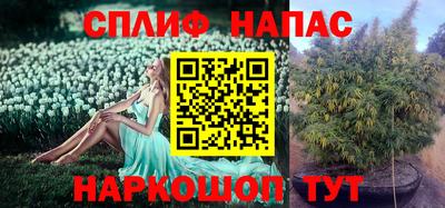 наркотики Бийск