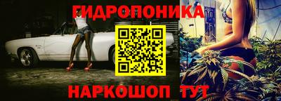 дживик Берёзовский