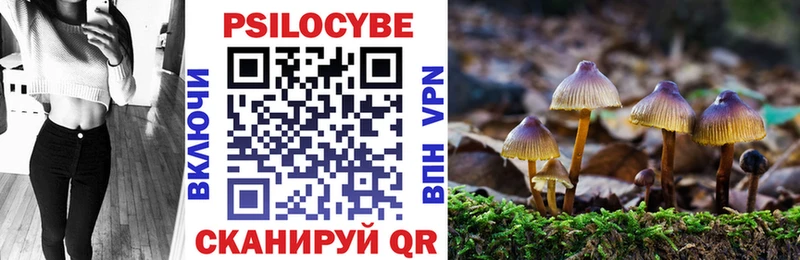 Галлюциногенные грибы Cubensis  Тулун 