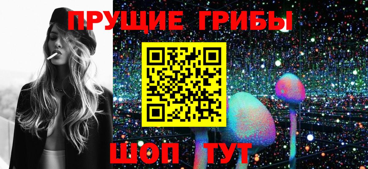 Псилоцибиновые грибы Psilocybine cubensis  Тулун 