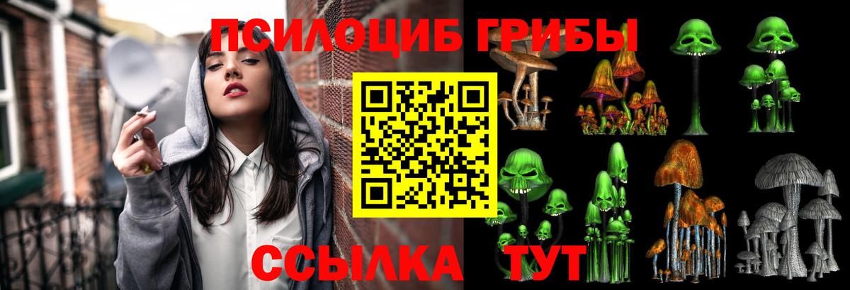 Псилоцибиновые грибы Psilocybe Тулун