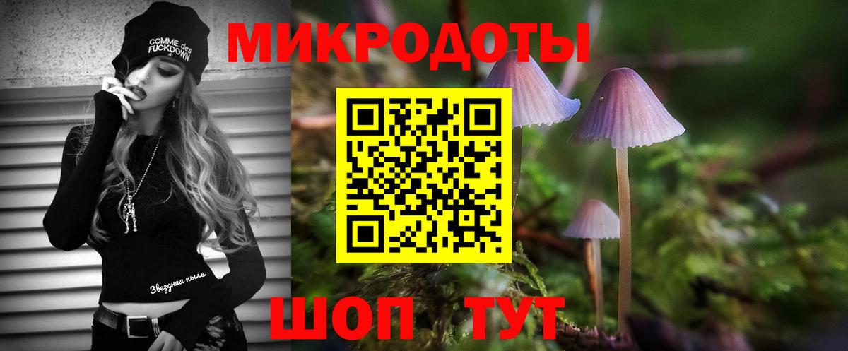 Тулун  Галлюциногенные грибы мухоморы  Псилоцибиновые грибы Psilocybe  продажа наркотиков  Вход с VPN 