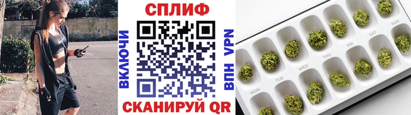 наркотики  Тулун  Шишки марихуана планчик 